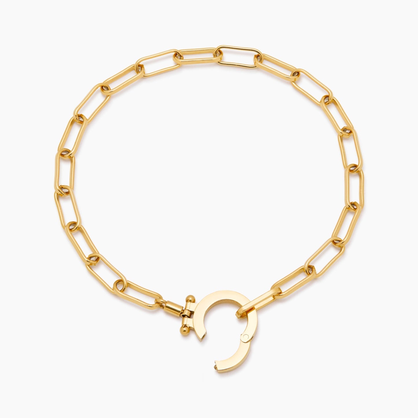 Paperclip chain bracelet flat lay — Olivia Jewelry