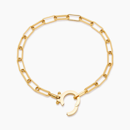 Paperclip chain bracelet flat lay — Olivia Jewelry